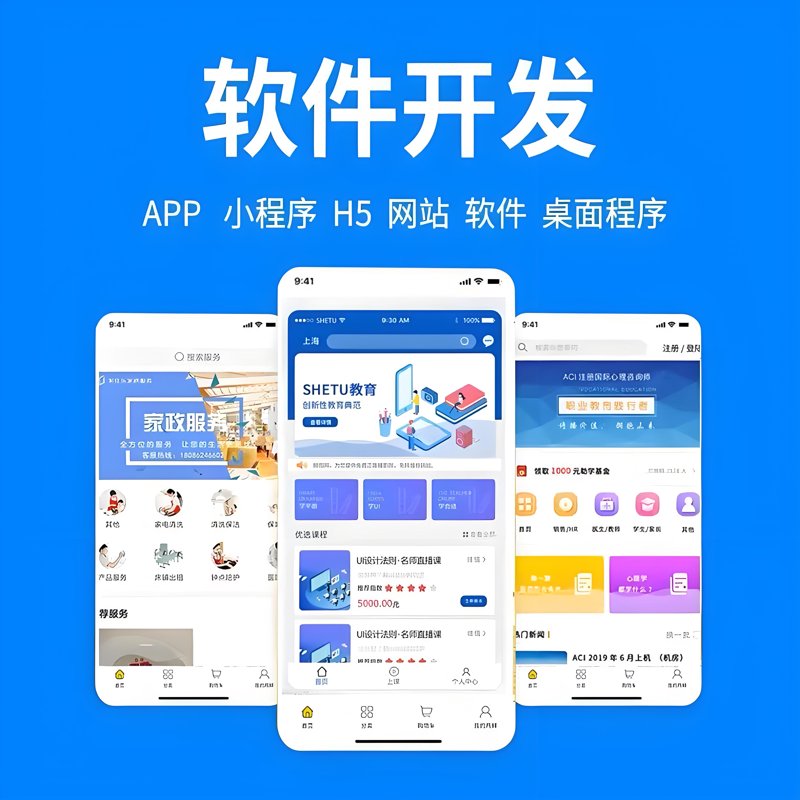软件定制开发：企业创新的新引擎